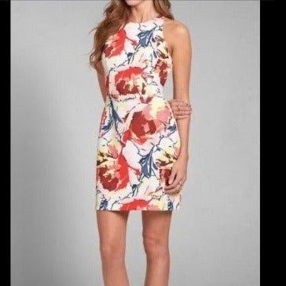 Abercrombie And Fitch Floral Fit & Flare Dress-Medium-Halter Neck-Lined-Side Zip